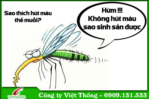 Cách diệt muỗi không cần hoá chất