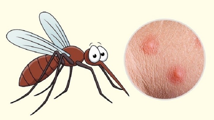 Muỗi cắn làm độc